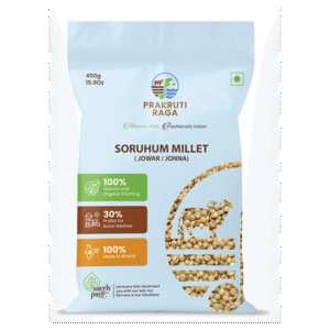 Sorghum / Jowar Grains