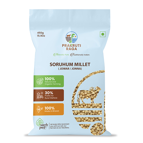Sorghum / Jowar Grains
